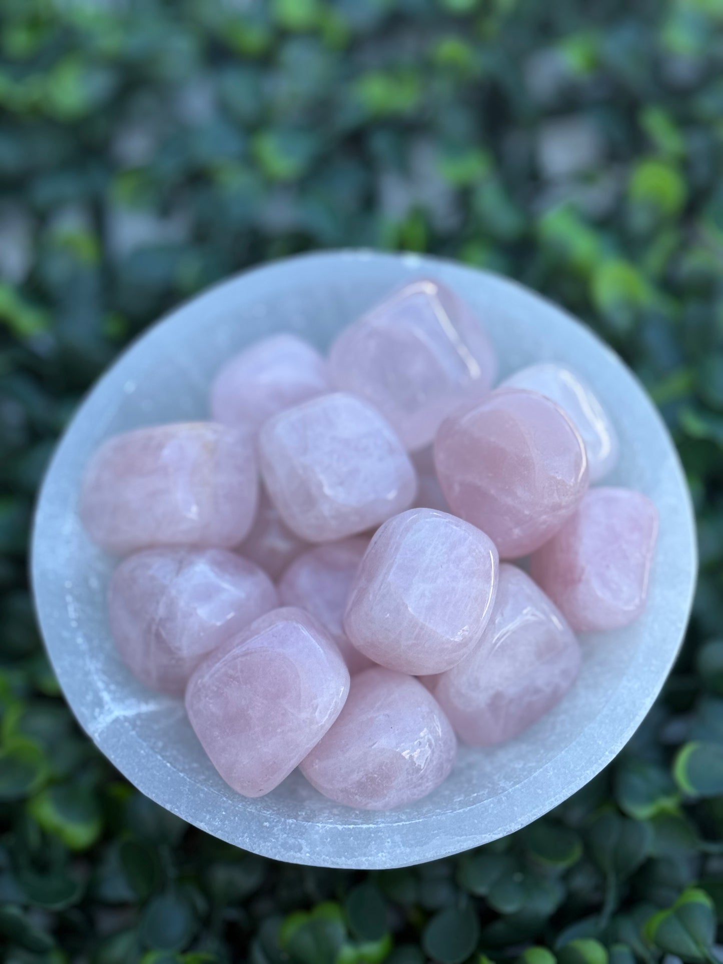 Rose Quartz